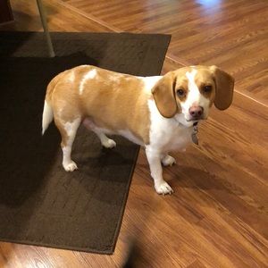 Meet your Posher, Penny